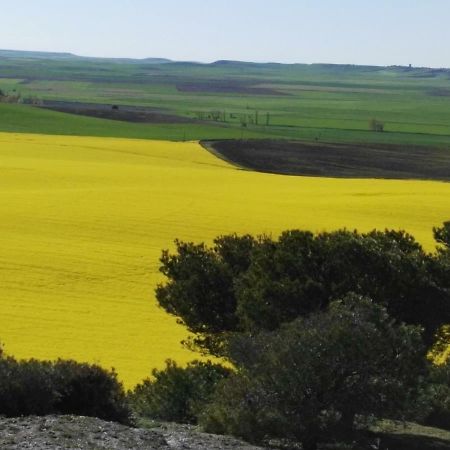 Apartmán La Aldea Colorada Mota del Marqués Exteriér fotografie