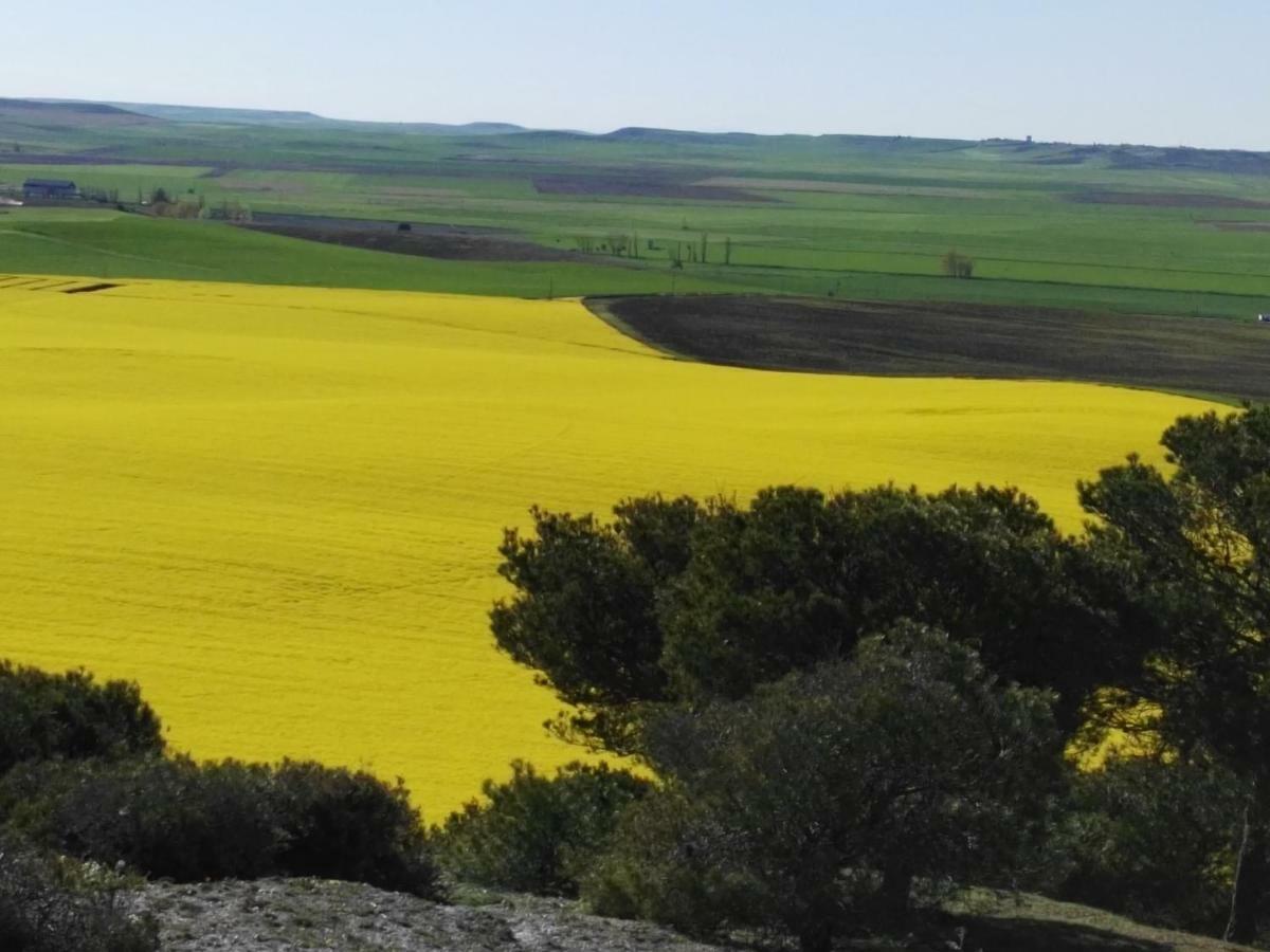 Apartmán La Aldea Colorada Mota del Marqués Exteriér fotografie