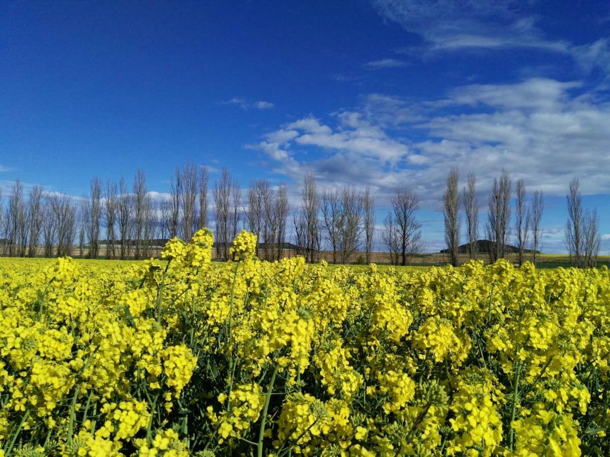 Apartmán La Aldea Colorada Mota del Marqués Exteriér fotografie