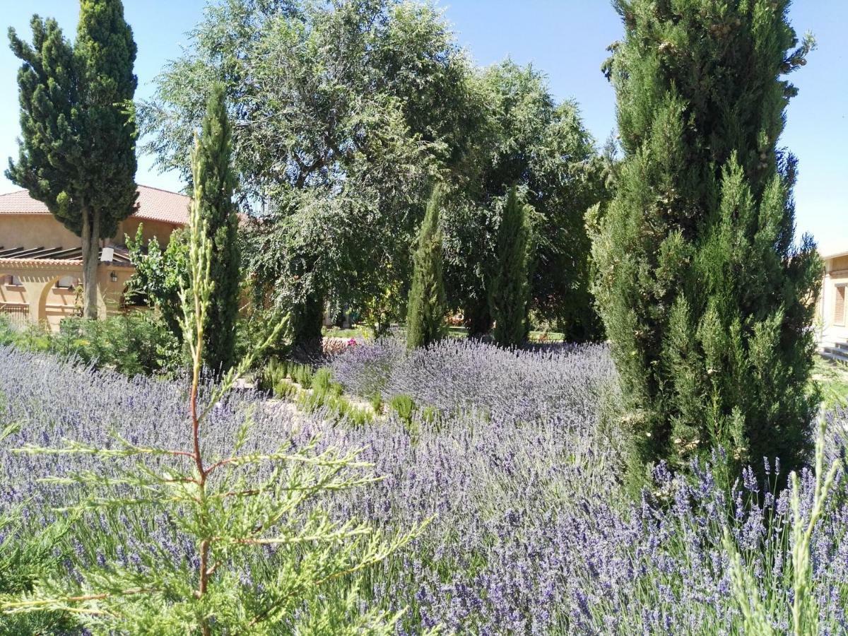 Apartmán La Aldea Colorada Mota del Marqués Exteriér fotografie